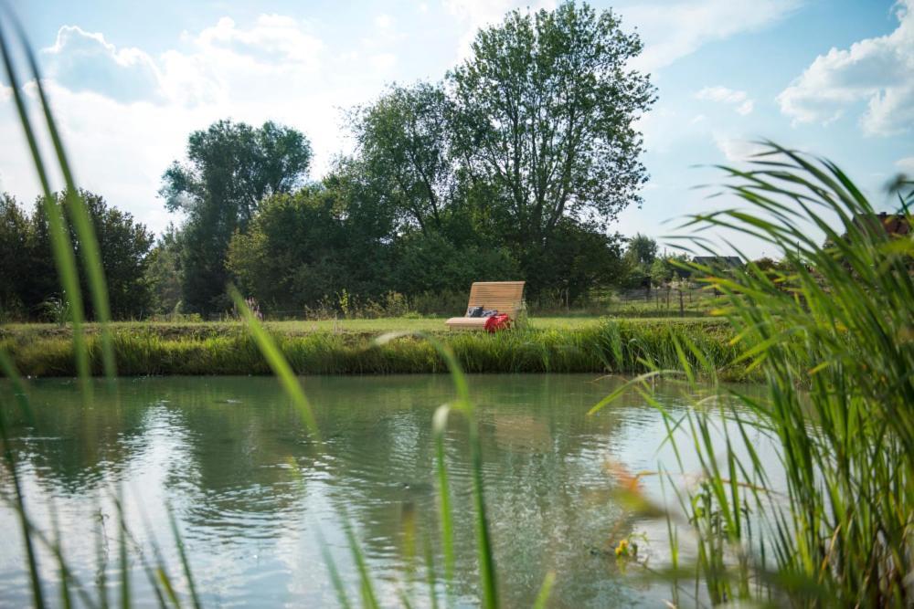 Apartamenty U Harrego II Przy Stawie Spa Klimatyzacja,Balkon,Sauna , Balia, Ogrod,Parking Kudowa-Zdrój Eksteriør billede